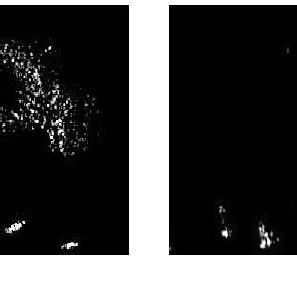 Complex Scene Image Ai 的图像结果