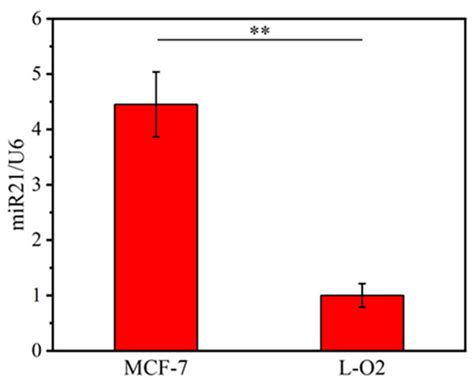 Niosome-Assisted Delivery of DNA Fluorescent Probe with Optimized ...