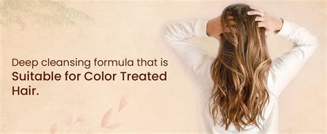 Buy Blue Nectar Anti Hair Fall Shampoo with Amla, Honey and Mulethi ...