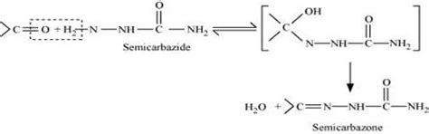 NCERT Solutions Class 12 Chemistry Chapter 8 - Aldehydes, Ketones and ...