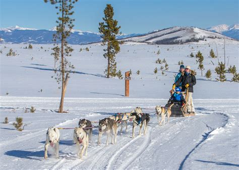 Where to Go Dog Sledding in Colorado | Insider Families