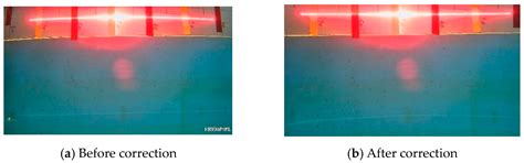 Research on Measuring the Bodies of Underwater Fish with Inclined ...