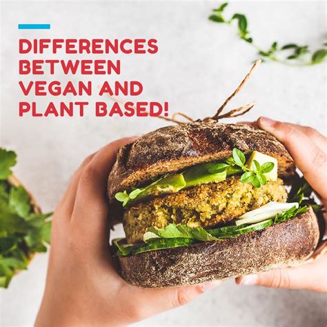 Differences between vegan and plant-based – Blue Tribe Foods