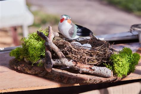 Real Natural Bird Nest, Spring Decor, Easter Decor, Natural Nest, Bird ...