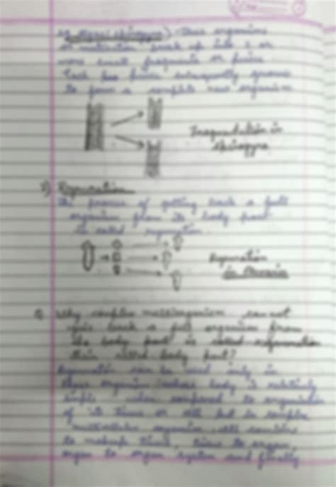 Image result for How Do Organisms Reproduce Class 10 Explanation