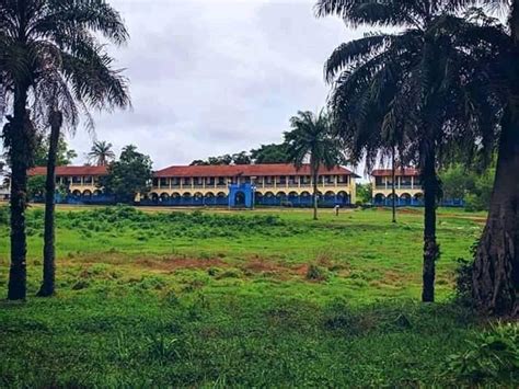 School community and academics