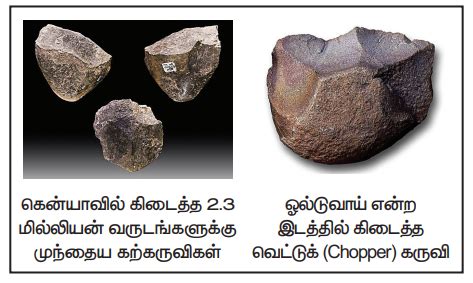 தொல்பழங்காலம்: ஆஸ்ட்ரோலோபித்திகஸிலிருந்து ஹோமோ எரக்டஸ் வழியாக ஹோமோ ...