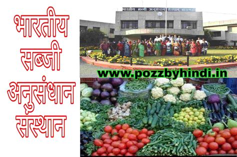 भारतीय सब्जी अनुसंधान संस्थान कहां स्थित है?Where is Indian vegetable ...