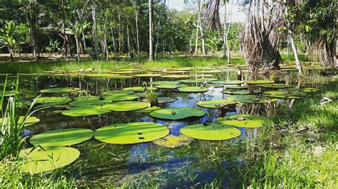 TOMACACHE (Nazaret) - Inn Reviews & Photos - Tripadvisor