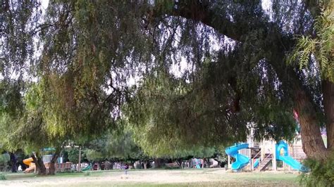 Al Salam Park, abha, Saudi Arabia - Top Attractions, Things to Do ...