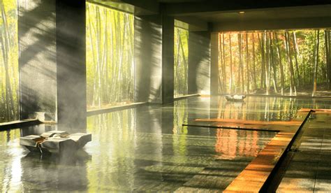 Image result for Onsen Types