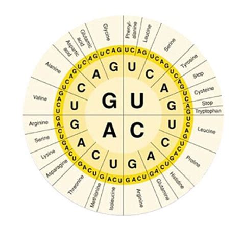 Alien DNA Vector 的图像结果