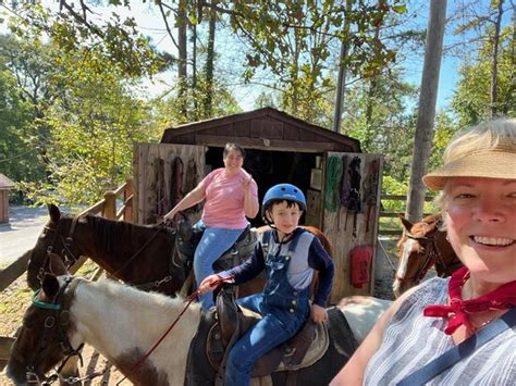 Well worth your time & money - Reviews, Photos - Cumberland Falls Horse ...