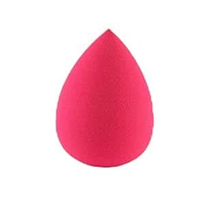 GOLVI Professional Makeup Sponge Beauty Blender For Blending Face ...