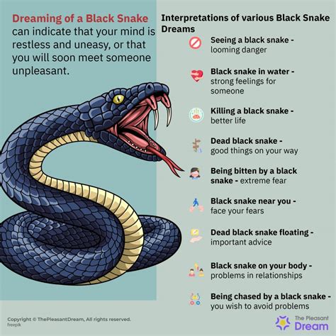 Spiritual meaning of black snakes in dreams 60 photos - Youhoroscope.com