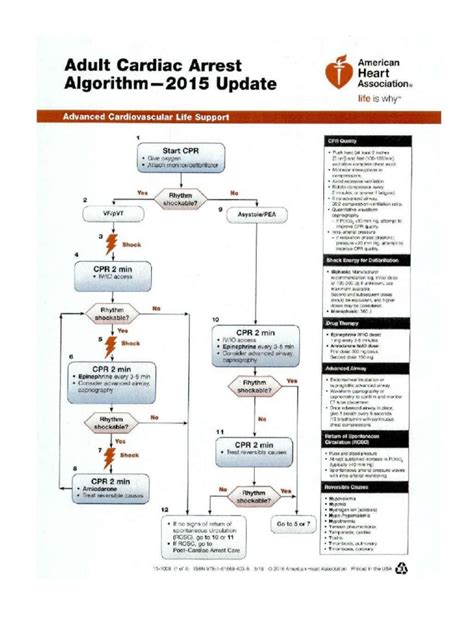 Image result for ACLS For Dummies