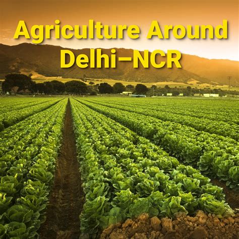 Agriculture Around Delhi–NCR: Geography, Cultivation Patterns, and Regional Farming Diversity ...