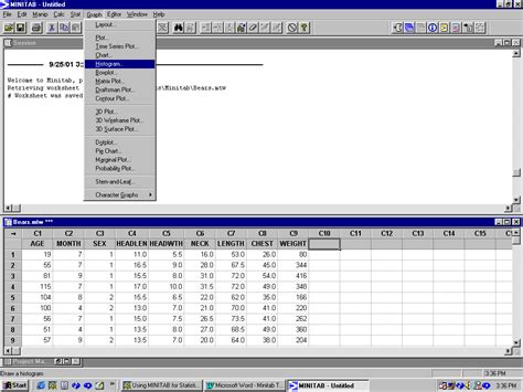 Image result for How to Apply Stat Using Minitab