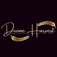 Divine Harvest International LLP Indore - Pure Spirulina Capsules ...