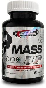 BIG ROCK NUTRITION Mass Up| Muscle Mass Gain Formula/Weight Gainer ...