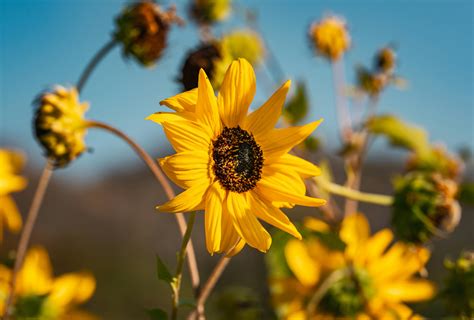 Image result for Lock Screen Backgrounds