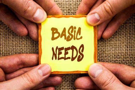 Image result for Satifying Basic Need