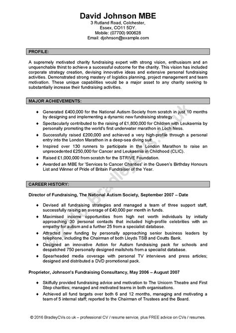 Curriculum vitae CV Examples 的图像结果