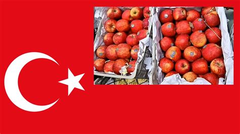 Turkey Support Pakistan : టర్కీకి రూ.1500 కోట్లు నష్టం వచ్చేలా చేసిన ...