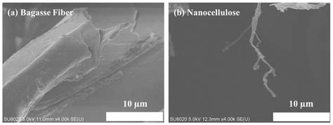 Extraction of Nanocellulose from the Residue of Sugarcane Bagasse Fiber ...