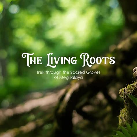 Graphic Design PG Diploma Course Online | AND Academy