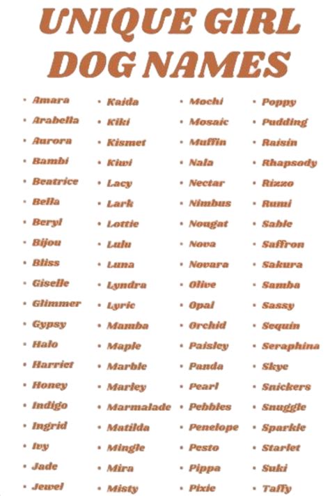 Latest female dog names unique list 2024 – Artofit