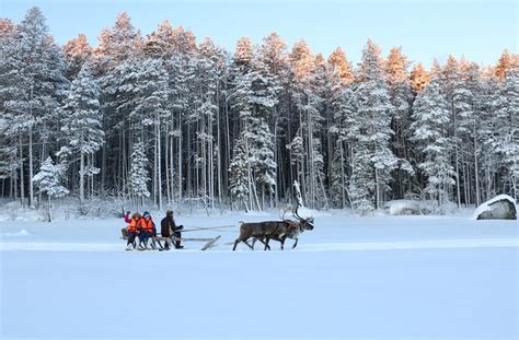 Зимний отдых в Карелии с детьми: миссия выполнима - Привет, Карелия!