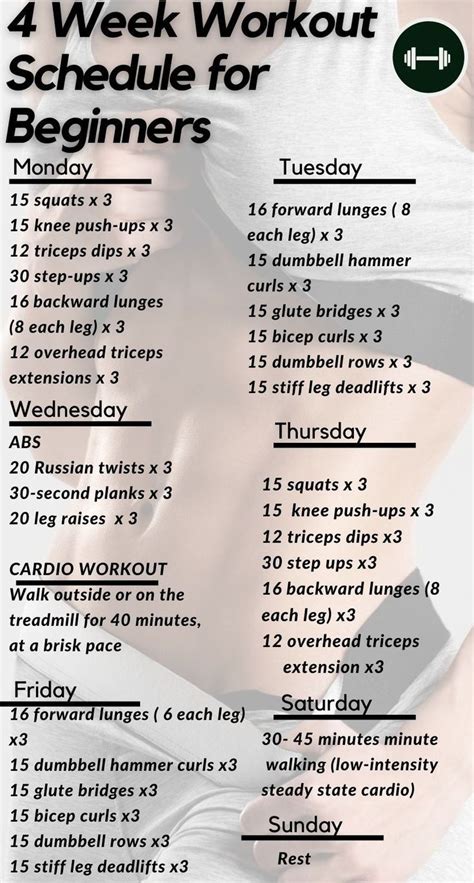 Example Workout Schedule 的图像结果