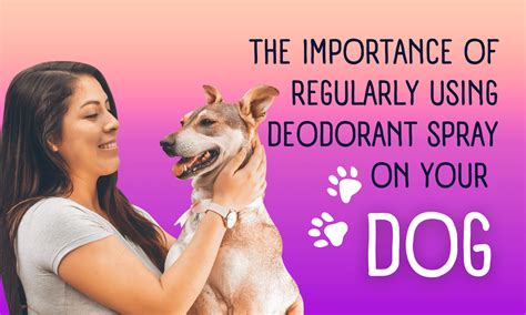 The Importance of Regularly Using Deodorant Spray on Your Dog - Pooch Ooze