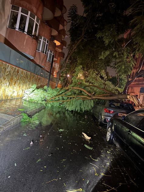 Storm Emilia damage in pictures on the Costa del Sol | Sur in English
