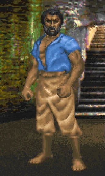 Image result for Daggerfall Unity Breton