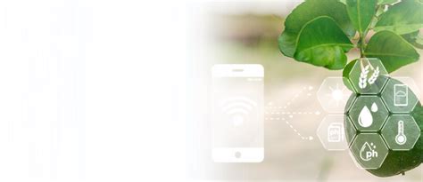 Digital Applications - CSTEP
