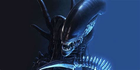 Image result for Alien Movie Xenomorph