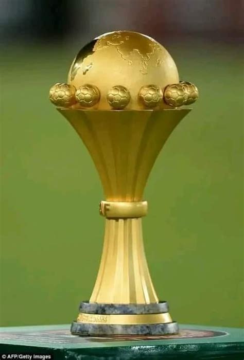 Image result for Can You Eat Python's