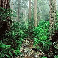 Truth Project Study Guide 的图像结果