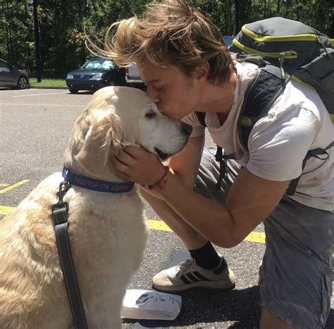 Rudy s hot dog – Artofit