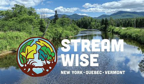 Image result for Stream Line Destination