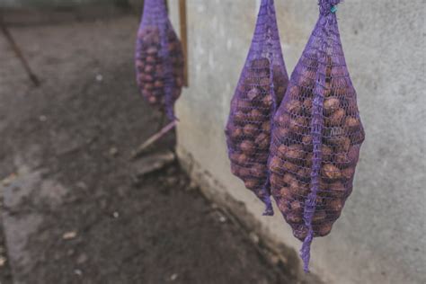 Cocoon Photos - Download Free High-Quality Pictures | Freepik