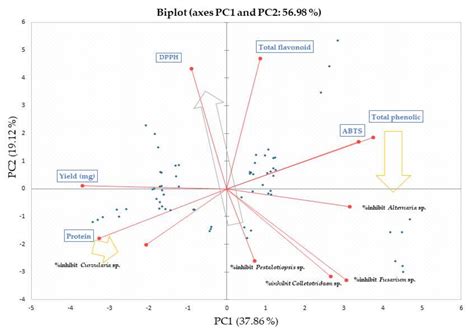 Production of Non-Volatile Metabolites from Sooty Molds and Their Bio ...