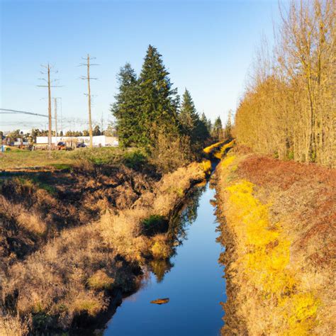 Burnt Bridge Creek, Vancouver | Everything You Need to Know