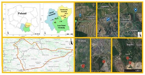 Contribution of the Soil Macro- and Microstructure to Organic Matter ...