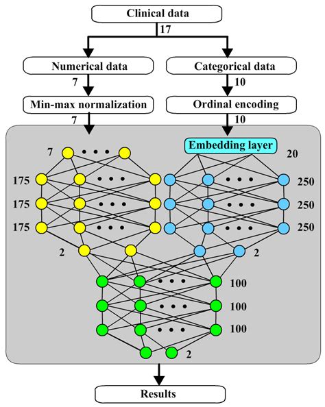 A Three-Stage Fusion Neural Network for Predicting the Risk of Root ...