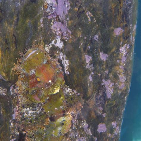 MAWAR HOMESTAY (Arborek) - Guesthouse Reviews & Photos - Tripadvisor