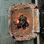 Prestige PPBB-02 charcoal Barbeque Grill, Black, Free standing : Amazon ...