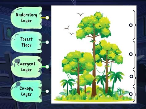 Forest Structure 的图像结果
